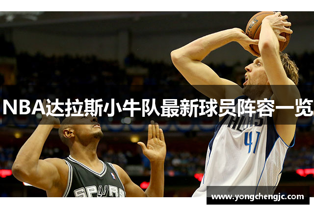 NBA达拉斯小牛队最新球员阵容一览